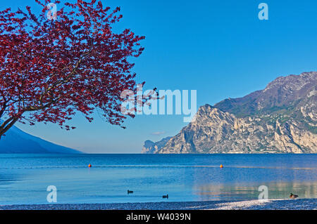 Spiaggia del Nord su sunrise al piccolo porto Porticcioloat Lago di Garda, il Lago di Garda in Torbole - Nago, Riva, Trentino , Italia al 15 aprile 2019. © Peter Foto Stock