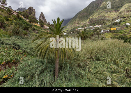 San Pedro - rocce vulcaniche Montagne Gemelle, monumento naturale di La Hermigua a La Gomera. Giornata di sole - tipica area rurale, piantagioni di banane, frutteti Foto Stock