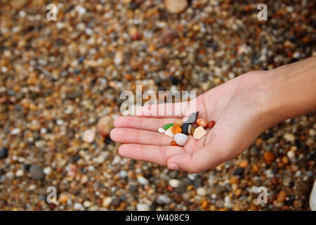 Raccolta a mano delle pietre sulla spiaggia. Foto Stock