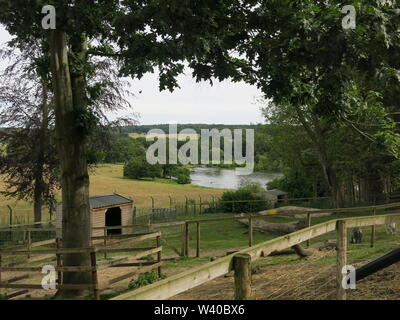 Vista della fattoria per bambini area, guardando attraverso il fiume per l'isola; un sacco di cose da vedere quando si visita Harewood House, un country estate al di fuori di Leeds Foto Stock