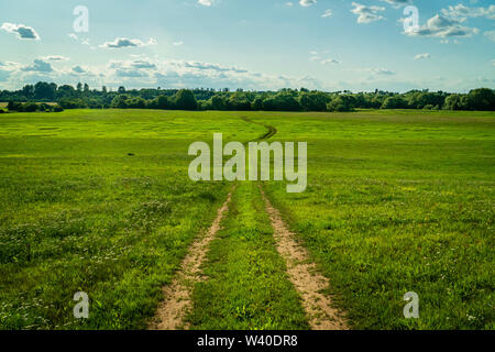 Prato di avvolgimento su strada sterrata - verde paesaggio naturale. Angolo basso. Foto Stock