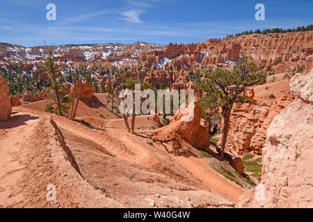 Intestazione percorso verso il basso nel Bryce Canyon nel Parco Nazionale di Bryce Canyon dello Utah Foto Stock