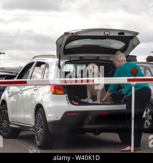 Havenplein, Paesi Bassi - Agosto 18, 2018: Senior donna con cane in auto SUV tronco aspettando l'imbarco sul traghetto nel teso al porto dei traghetti con destinazione Den Hoorn Texel isola immagine quadrata Foto Stock