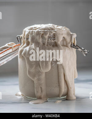 Pasta madre cultura kilner traboccare il vaso in cucina dovuta alla fermentazione di esplosivo Foto Stock