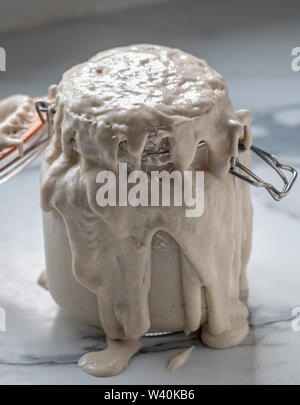 Pasta madre cultura kilner traboccare il vaso in cucina dovuta alla fermentazione di esplosivo Foto Stock