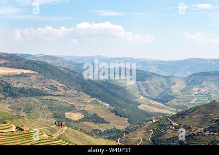 Vista panoramica di Alto Douro Vinhateiro con terrazze e vigneti Foto Stock