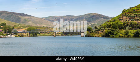 Pinhão villaggio all'Alto Douro Vinhateiro, Fiume Douro, bridge e vigneti Foto Stock