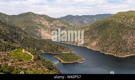 Vista panoramica di Alto Douro Vinhateiro con terrazze e vigneti Foto Stock