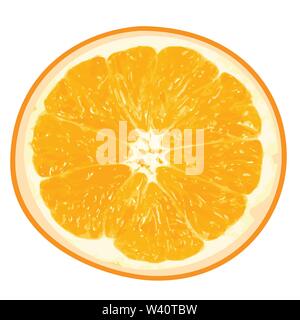 Isolato di colore arancione in formato vettoriale, sguardo realistico. Illustrazione Vettoriale