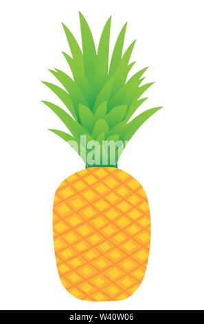 Ananas frutta illustrazioni vettoriali. Illustrazione Vettoriale
