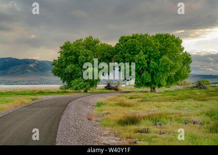 Strada fiancheggiata da alberi con vista del lago di valle e di monte sotto il cielo nuvoloso. Terreno erboso può essere visto anche su entrambi i lati della strada. Foto Stock