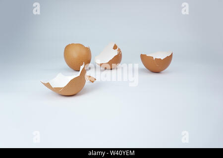 Marrone a guscio di uovo pezzi rotti isolati su sfondo bianco Foto Stock