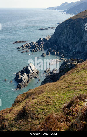 Vista da sopra la bocca Bennetts verso est verso Ilfracombe, North Devon, Regno Unito successione di promontori a Pensford Rock, Shag Point, punto piatto, il Brandy Cove Po Foto Stock