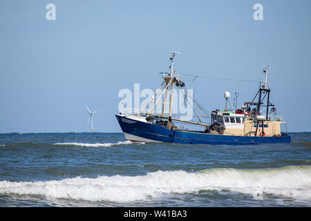 Una taglierina di gamberi del Mare del Nord Foto Stock