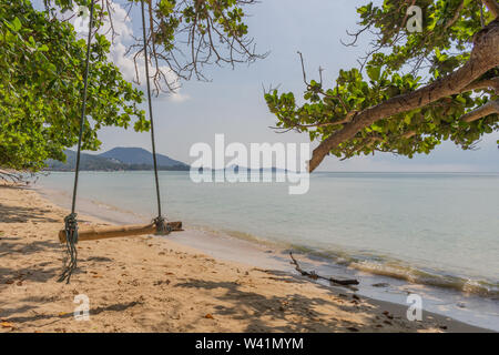 Swing isolato su un vuoto di spiaggia sabbiosa a Koh Samui in Thailandia Foto Stock