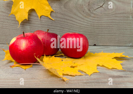 Mele con foglie gialle di acero giacciono su tavole di legno. Foto Stock
