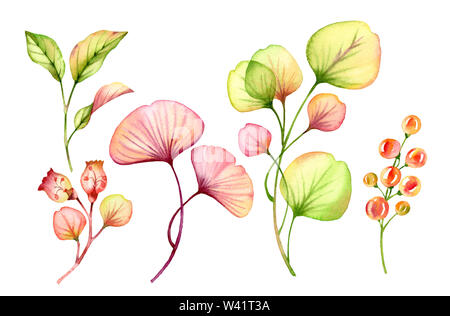 Acquerello trasparente set floreali isolato su bianco raccolta di bacche e foglie, rami bundle in rosa pastello, verde arancione rosso corallo di botanica Foto Stock