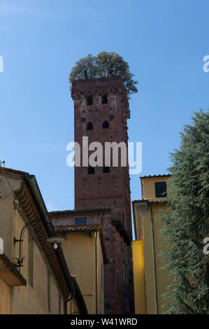 L'Italia, Toscana, Lucca, Torre Guinigi, gotico romana, 45 metri di altezza e sulla parte superiore ci sono 7 Querce Foto Stock