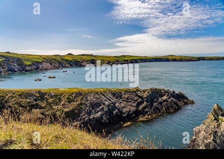 Guardando fuori a Ramsey Suono da le cime della scogliera di St Justinians, Pembrokeshire, Galles del Sud Foto Stock