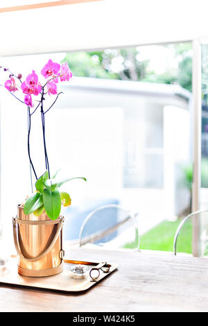 Colore rosa fiori di orchidea in un vaso d'oro su un vassoio di metallo da fuori area e lo sfondo è sfocato Foto Stock