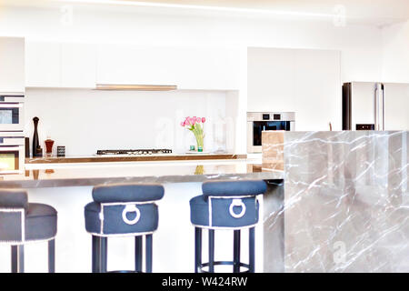 Cucina con fornelli e piante fiorite accanto alla dispensa credenza forni e frigo, le pareti bianche sono circondate la cucina Foto Stock