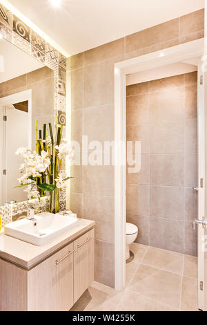 Bagno illuminazione interna e fiore bianco decorazione con servizi igienici della porta d'ingresso, ci sono foglie verdi con canne di bambù vicino alcarrello specchio sul Foto Stock