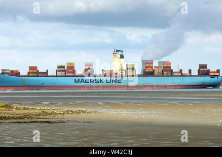 Un contenitore grande nave che naviga sulla Schelda occidentale a bassa marea con il Doel centrali nucleari per torri di raffreddamento in background su Walcheren in Foto Stock