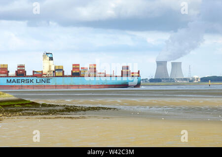 Un contenitore grande nave che naviga sulla Schelda occidentale a bassa marea con il Doel centrali nucleari per torri di raffreddamento in background su Walcheren in Foto Stock