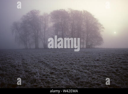 In inverno la valle Avening, Glos, Regno Unito Foto Stock