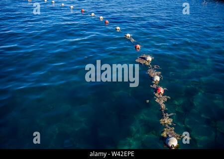 Boe protettivo sulla superficie del mare. La scherma sull'acqua. Salvare la zona per il nuoto Foto Stock