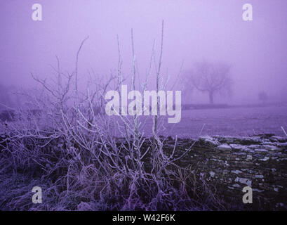 In inverno la valle Avening, Glos, Regno Unito Foto Stock