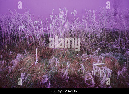 In inverno la valle Avening, Glos, Regno Unito Foto Stock