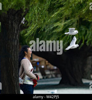 Donna con i gabbiani in volo flying overhead Foto Stock