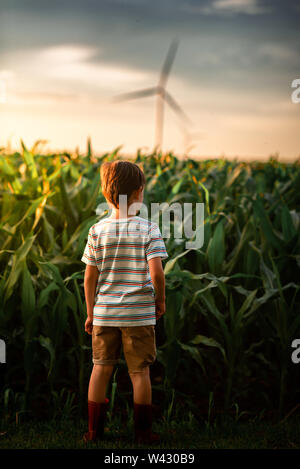 Un piccolo ragazzo che guarda al mais in un campo Foto Stock