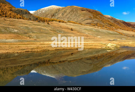 La riflessione di autunno la foresta e la montagna nel lago. Altai montagne paesaggio. Siberia occidentale. La Russia Foto Stock