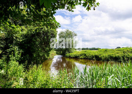 Fiume Weaver visto da Owley legno, parte del Cheshire Wildlife Trust Foto Stock