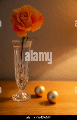 Un grande Whisky Mac Hybrid Tea Rose fiori recisi in un taglio vaso di vetro illuminato da una lampada da tavolo Foto Stock