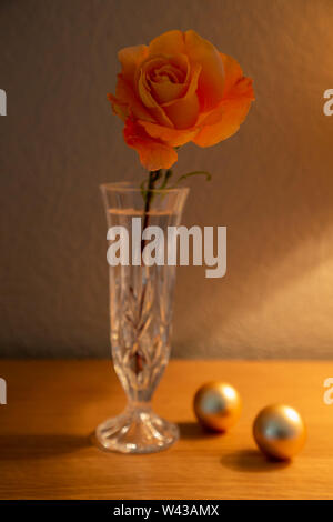 Un grande Whisky Mac Hybrid Tea Rose fiori recisi in un taglio vaso di vetro illuminato da una lampada da tavolo Foto Stock