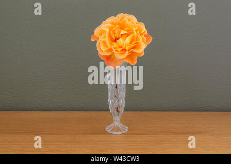 Un grande Whisky Mac Hybrid Tea Rose fiori recisi in un taglio vaso di vetro Foto Stock