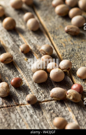 Organici Toor a secco tutto il piccione piselli in una ciotola Foto Stock