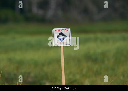 Segnale di avvertimento per indicare l'area di allevamento per tubazioni in pericolo Plovers a Cherry Beach, Nova Scotia, Canada Foto Stock