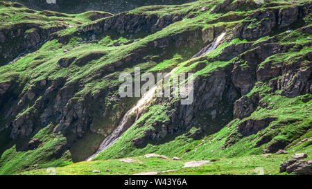 Vista panoramica di un piccolo fiume che passa attraverso le montagne verdi prati. Estate in Alpi Pennine, Valle d'Aosta, Italia, Europa. Foto Stock