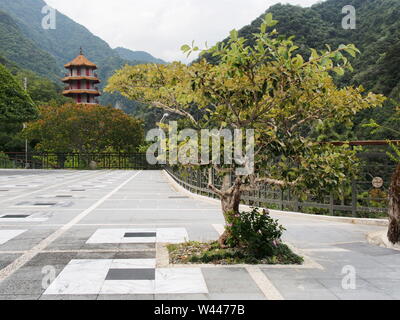 Hsiangte buddist temple, un albero e una torre, Taroko National Park, Taiwan Foto Stock