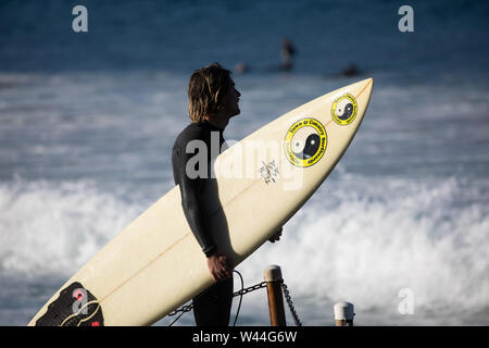 Uomo in wetsuit trasporta le tavole da surf in oceano surf presso una spiaggia di Sydney in Australia per fare surf Foto Stock