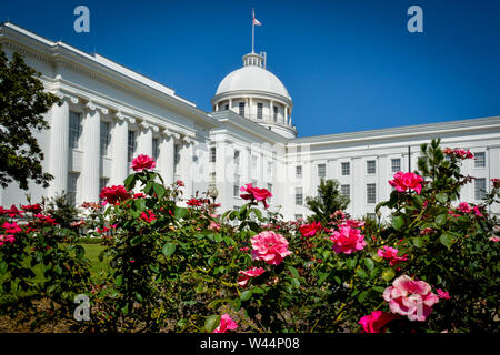 Le rose rosa in primo piano della cupola e storico Alabama State Capitol Building in Montgomery, AL, su una giornata d'estate Foto Stock