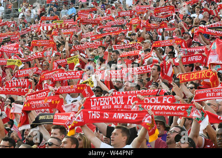 South Bend, Stati Uniti d'America. 19 Luglio, 2019. Calcio, test match, Liverpool FC - Borussia Dortmund a Notre Dame Stadium. Gli appassionati di Liverpool in gabbie. Credito: Tim Vizer/dpa/Alamy Live News Foto Stock