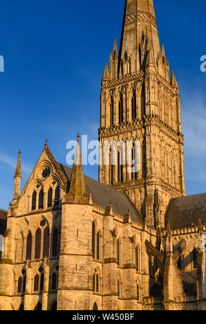 La guglia della Cattedrale di Salisbury dal fronte del nord del palazzo medievale in luce rossa al tramonto in Salisbury Inghilterra Foto Stock