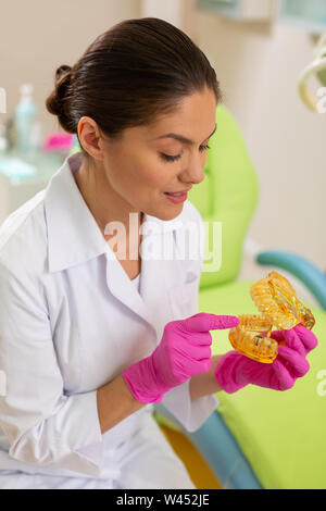 Donna sorridente medico guardando un modello di ganascia Foto Stock