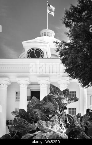 Anguria Begonia piante coltivate nella parte anteriore del Revival Greco design dell'Alabama State Capitol Building in Montgomery, AL, Stati Uniti d'America, in bianco e nero Foto Stock