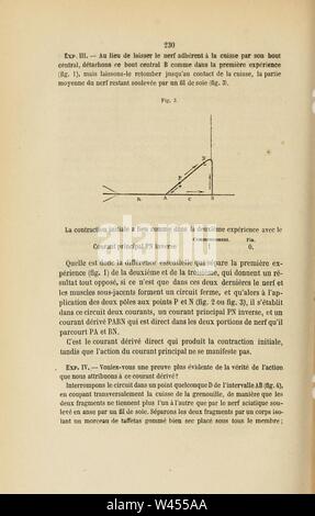 Comptes rendus des séances de la Société de Biologie et de ses filiales (pagina 230) Foto Stock